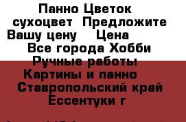 Панно Цветок - сухоцвет. Предложите Вашу цену! › Цена ­ 4 000 - Все города Хобби. Ручные работы » Картины и панно   . Ставропольский край,Ессентуки г.